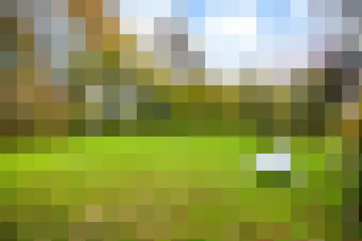 Wolinkweg 39 Haarlo thumbnail 67