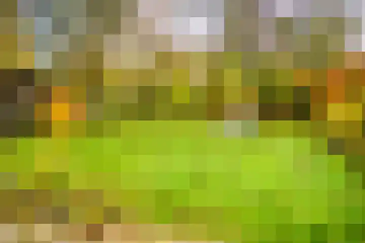 Wolinkweg 39 Haarlo thumbnail 68