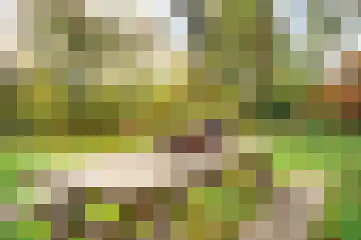 Wolinkweg 39 Haarlo thumbnail 69