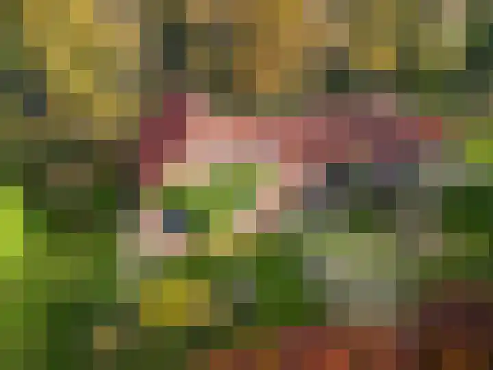 Wolinkweg 39 Haarlo thumbnail 8