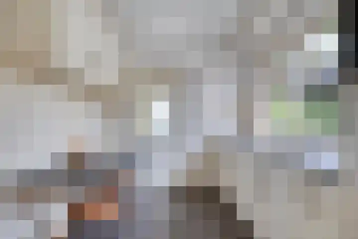 Wolinkweg 4 Haarlo thumbnail 12