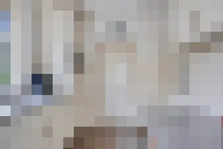 Wolinkweg 4 Haarlo thumbnail 13