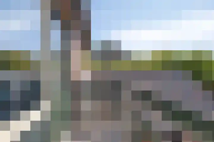 Wolinkweg 4 Haarlo thumbnail 24