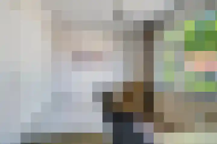 Wolinkweg 4 Haarlo thumbnail 25