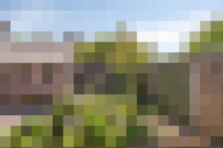 Wolinkweg 4 Haarlo thumbnail 33