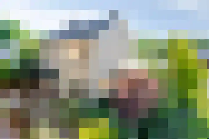 Wolinkweg 4 Haarlo thumbnail 38