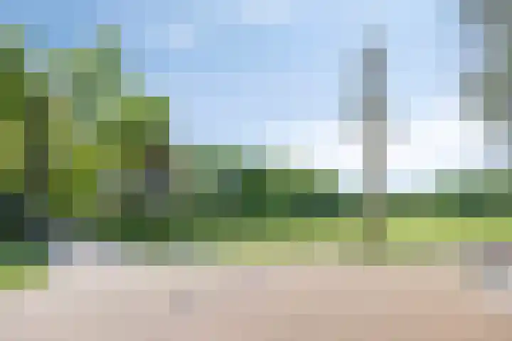 Wolinkweg 4 Haarlo thumbnail 39