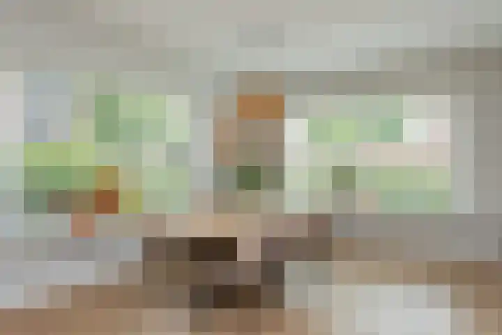 Wolkamerweg 6 't Harde thumbnail 12
