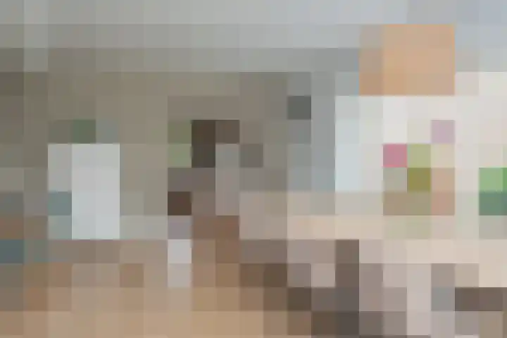 Wolkamerweg 6 't Harde thumbnail 13