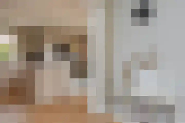 Wolkamerweg 6 't Harde thumbnail 16