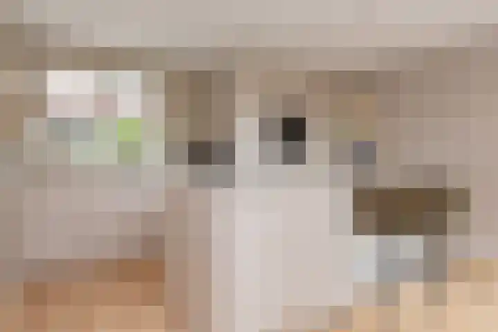 Wolkamerweg 6 't Harde thumbnail 17