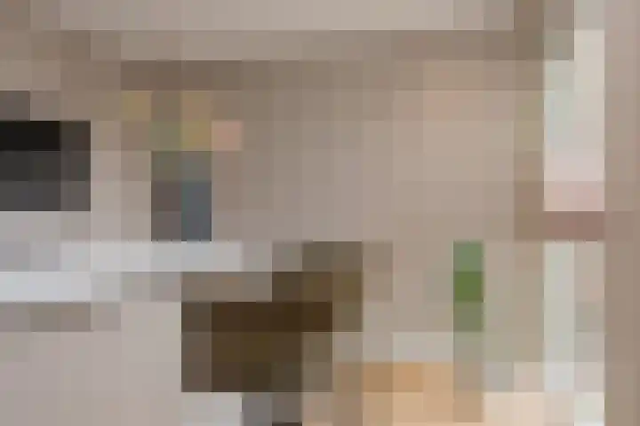 Wolkamerweg 6 't Harde thumbnail 18