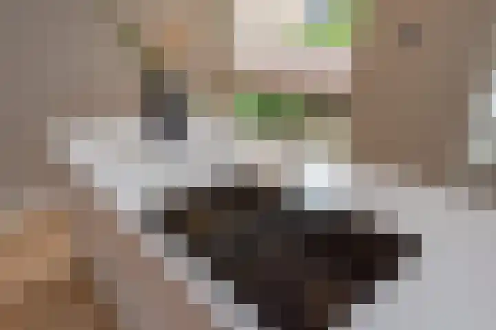 Wolkamerweg 6 't Harde thumbnail 23