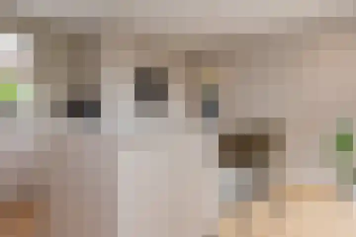 Wolkamerweg 6 't Harde thumbnail 24