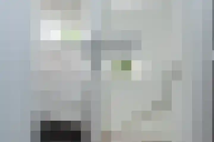Wolkamerweg 6 't Harde thumbnail 38