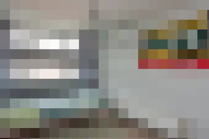 Wolkamerweg 6 't Harde thumbnail 44
