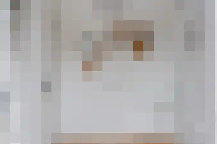 Wolkamerweg 6 't Harde thumbnail 5