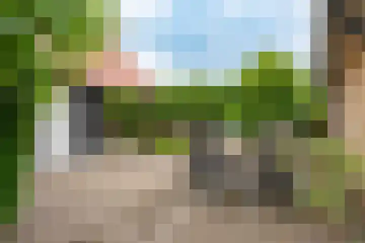 Wolkamerweg 6 't Harde thumbnail 54