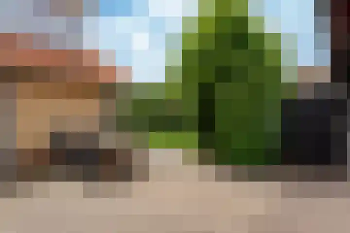 Wolkamerweg 6 't Harde thumbnail 57
