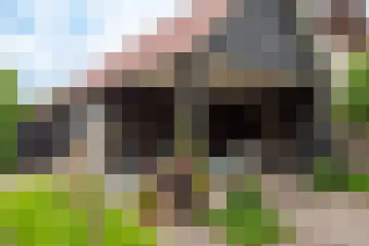 Wolkamerweg 6 't Harde thumbnail 58