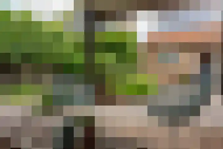 Wolkamerweg 6 't Harde thumbnail 61