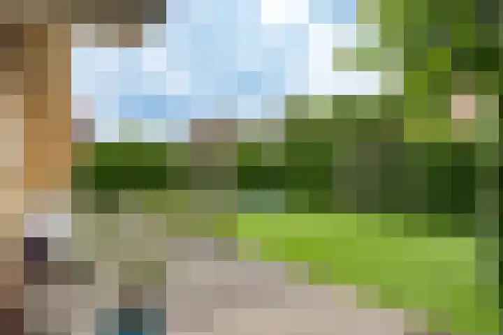 Wolkamerweg 6 't Harde thumbnail 63