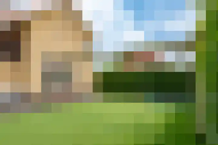 Wolkamerweg 6 't Harde thumbnail 64