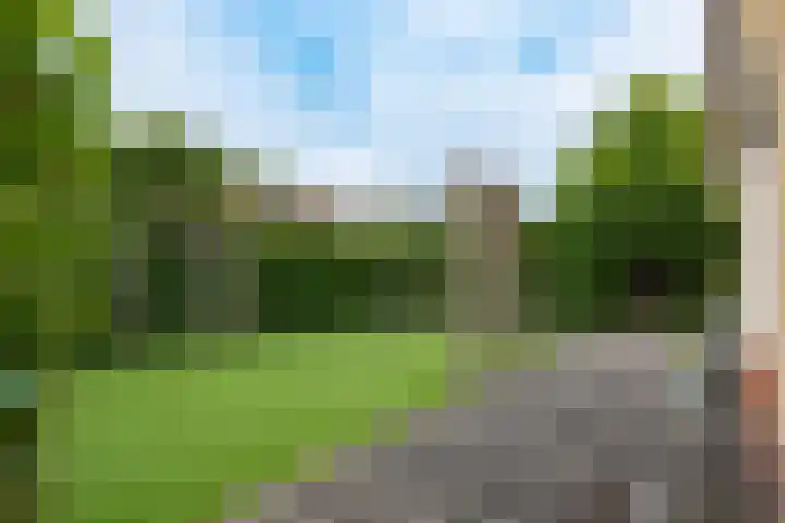 Wolkamerweg 6 't Harde thumbnail 65