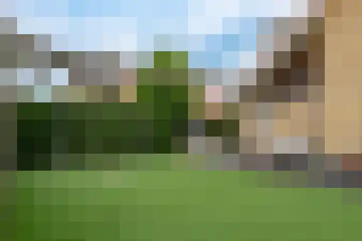 Wolkamerweg 6 't Harde thumbnail 66