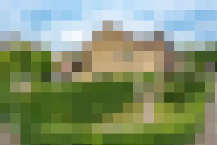 Wolkamerweg 6 't Harde thumbnail 69