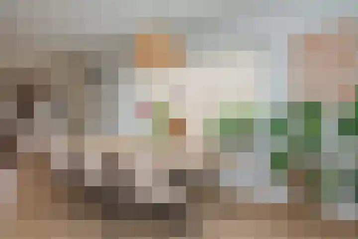 Wolkamerweg 6 't Harde thumbnail 8
