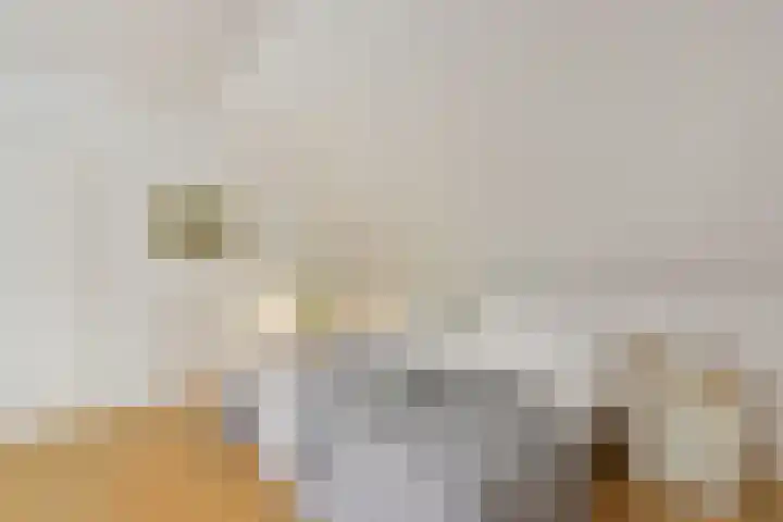 Wolkammer 8 Hoorn thumbnail 21