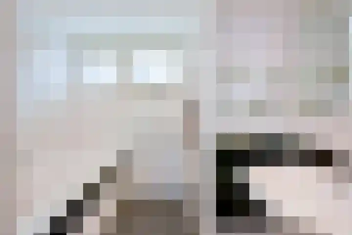 Wolkammer 8 Hoorn thumbnail 26