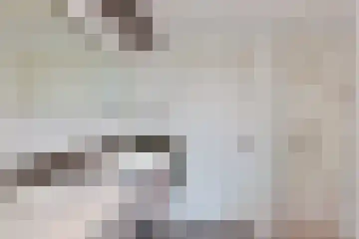 Wolkammer 8 Hoorn thumbnail 27