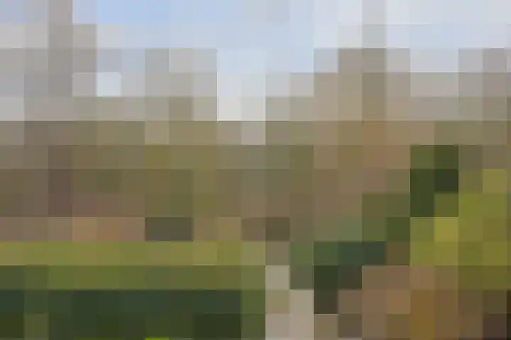 Wolkammer 8 Hoorn thumbnail 29
