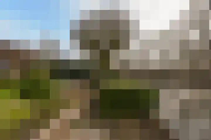 Wolkammer 8 Hoorn thumbnail 31