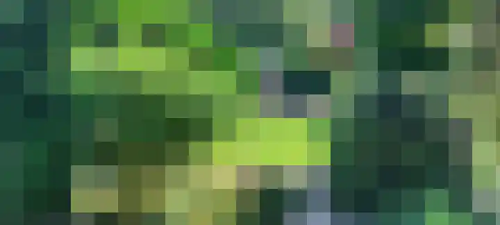 Wolkammer 8 Hoorn thumbnail 32