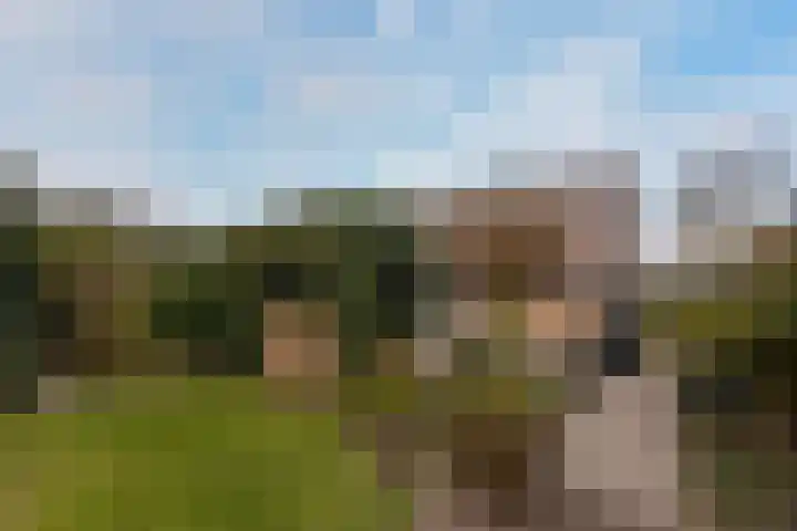 Wolkammer 8 Hoorn thumbnail 33