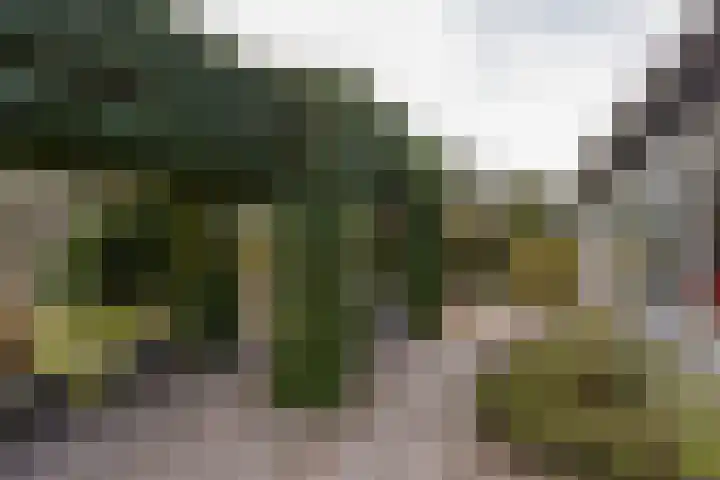 Wolkammer 8 Hoorn thumbnail 35