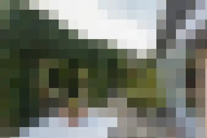 Wolkammer 8 Hoorn thumbnail 38