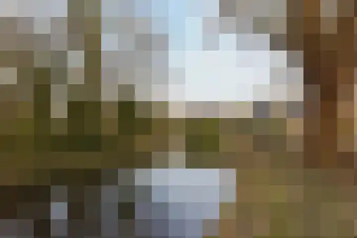Wolkammer 8 Hoorn thumbnail 41