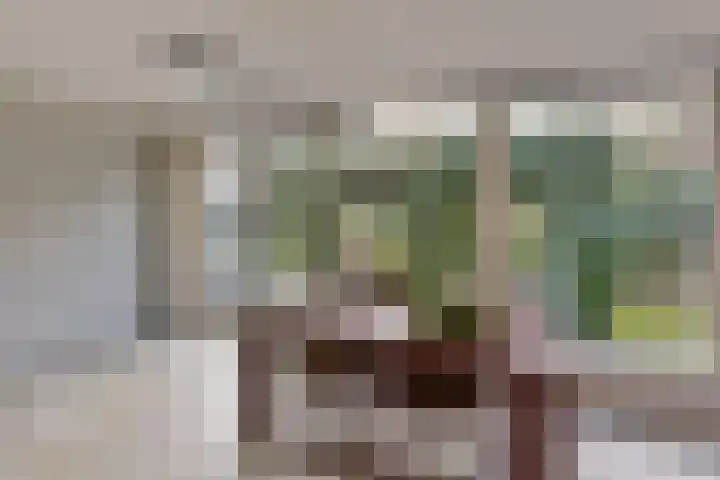 Wolkammer 8 Hoorn thumbnail 9