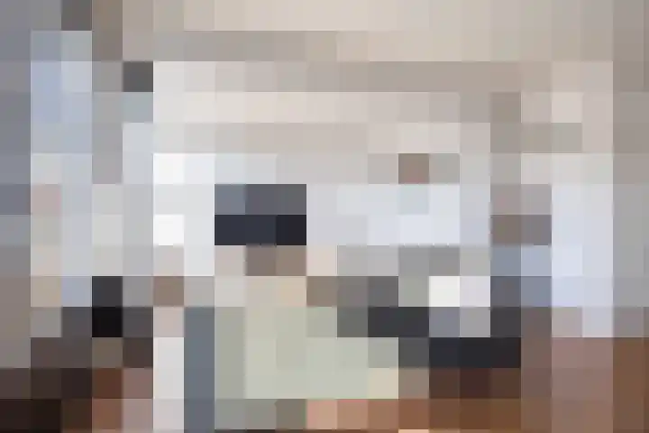 Wolkammerij 1 Winsum thumbnail 17