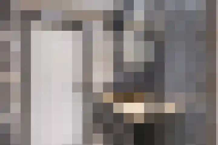 Wolkammerij 1 Winsum thumbnail 34