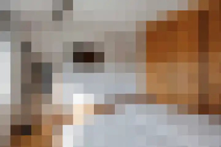 Wolkammerij 1 Winsum thumbnail 36