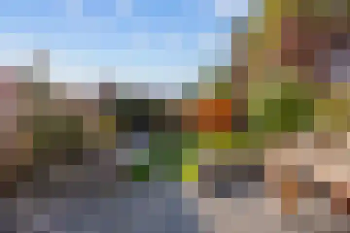 Wolkammerij 1 Winsum thumbnail 40