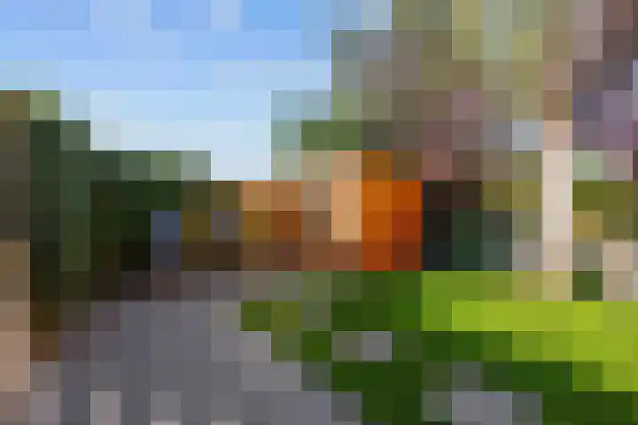 Wolkammerij 1 Winsum thumbnail 41