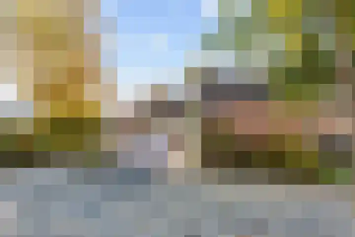 Wolkammerij 1 Winsum thumbnail 5