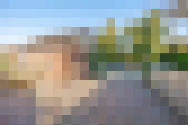 Wolkammerij 1 Winsum thumbnail 9