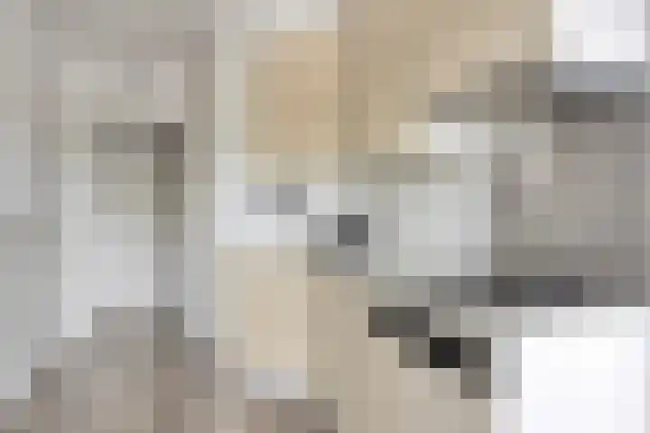 Wolkammersdreef 1 B Maastricht thumbnail 12